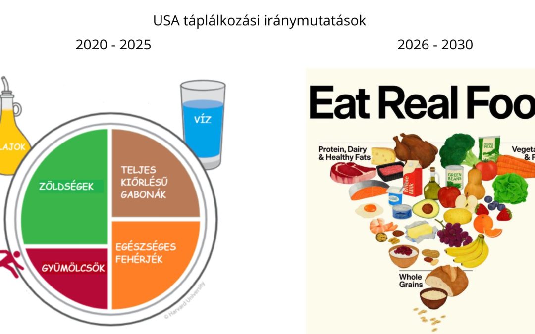 Szemléletváltás az amerikai táplálkozási ajánlásokban: mit jelent a Dietary Guidelines for Americans friss kiadása?