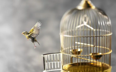 Tudod, hogy mit kellene tenned, mégsem teszed?